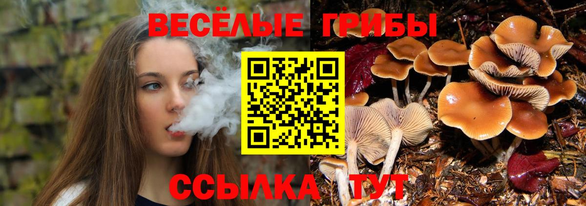 Галлюциногенные грибы мицелий  Вход с VPN  Шадринск 